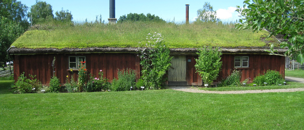 Dachbegrünung